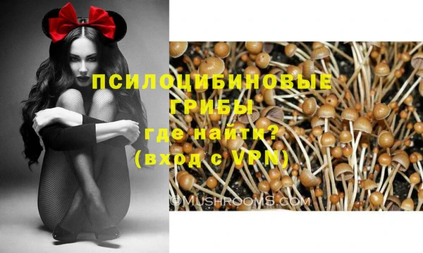 ПСИЛОЦИБИНОВЫЕ ГРИБЫ Пестово