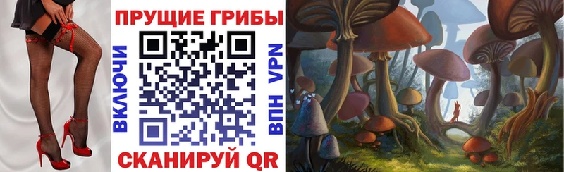 хочу   сайты даркнета официальный сайт  Псилоцибиновые грибы GOLDEN TEACHER  Кедровый 